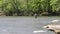 Georgia, Jones Bridge Park, A fisherman wading in the Chattahoochee River and two ducks swimming