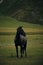 Georgia, Kazbegi Truso Valley National Park. A free mountain horse on a walk in the gorge on a cool autumn morning. A