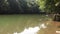 Georgia, Medlock Bridge, A pan across a downstream view of a green Chattahoochee River