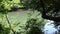 Georgia, Medlock Bridge, A view of a green Chattahoochee River through the trees