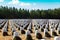 Georgia National Cemetery graves adorned with wreaths at holiday time.