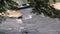 Georgia, Settles Bridge Park, A view of water on the Chattahoochee River and a man in a canoe