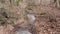 Georgia Sweetwater Creek Park, Looking upstream at small creek and Sweetwater Creek