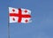 Georgian flag