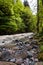 Georgian landscape in summer,River in forest. Georgia, Caucasus