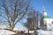 Georgievskaya street and famous old oak. City of Vladimir, Russia.