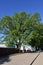 Georgievskaya street and famous old oak. City of Vladimir, Russia.