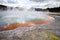 Geothermal area Wai-O-Tapu in New-Zealand hot water champage  pool