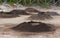 Geothermal cooking hole sao miguel azores