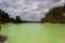 geothermal gern lake at wai-o-tapu, new zealand