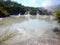 Geothermal Mud Pool Rotorua, New Zealand.