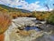 Geothermal spring at Hipaua Thermal area in Waikato region of New Zealand