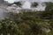 Geothermal Steam Flows from Hot Springs and Thermal Vents