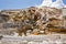 Geothermal Terrain in Yellowstone