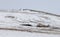 Ger yurt in a winter landscape of northern Mongolia