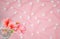 A geranium flower of coral color stands in a glass beaker with clear water against a background of a delicate coral color