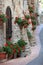 Geranium flowers in streets of Assisi, Umbria