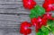 Geranium Pelargonium Flowers and leaves on a wooden table..