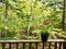 Geranium plant on second story porch with fall woods