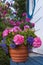 Geranium Planter