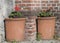 Geranium pots