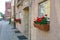 Geranium potted on window sill on Trokshnu street, Riga, Latvia