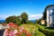 Geraniums in a garden at a house overlooking the Baltic Sea. Lohme on the island of RÃ¼gen