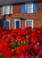 Geraniums and House