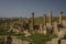 Gerasa ruins, Jerash, Jordan