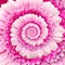 Gerber flower infinity spiral abstract background