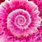 Gerber flower infinity spiral abstract background