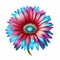 Gerbera Beauty: Colorful Violet, Pink, Red, and Blue Blossoms.