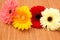 Gerbera Daisies on Bamboo Mat