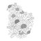 gerbera daisy flower pencil art, Pencil realistic daisy flower zen doodle.detailed daisy line drawing, Brown-eyed Susan clipart