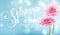 Gerbera Flower Background and Spring Lettering. Vector Illustration