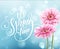 Gerbera Flower Background and Spring Lettering. Vector Illustration