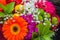 Gerbera flower in bouquet, bold colors