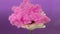 Gerbera flower and pink ink cloud in water on purple background