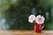 Gerbera flowers in a jug on a blurred outdoor background