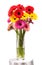 Gerbera flowers in vase isolated over white