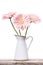 Gerbera pink daisy flower