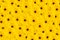 Gerbera yellow background