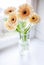 Gerberas bouquet on the windowsill with bright daylight