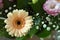 A  gerberas with other flowers