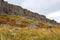 Gerduberg Cliffs Iceland