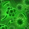 Germ and bacteria or virus microorganisms vector