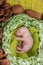 Germ Rat baby without hair, newborn. on a bright green leaf of a tree. 2020 Chinese calendar
