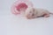 Germ Rat baby without hair, newborn mouse with pink dummy latex pacifier