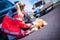 German animal medic treats an injured dog