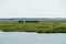 German Bodden landscape